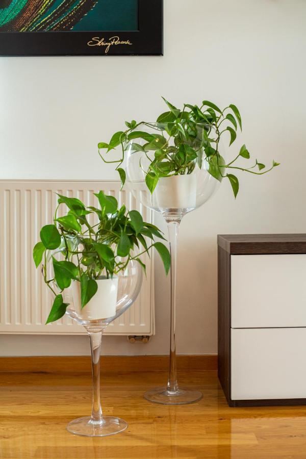 Ljubljana Finest Apartment Eksteriør bilde